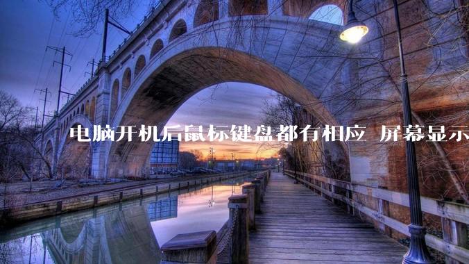 电脑开机后鼠标键盘都有相应 屏幕显示正常 但是所有图标都消失是什么情况呢？