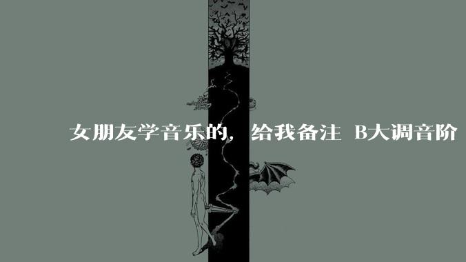 女朋友学音乐的，给我备注 B大调音阶 是什么含义呢？