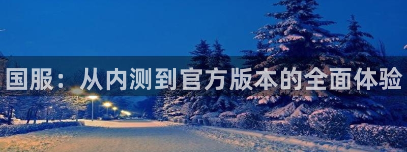 广东蓝图娱乐官网电子科技有限公司：国服：从内测到官方版本的全面体验