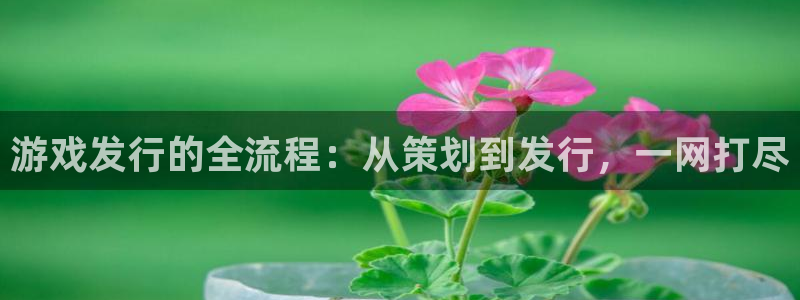 蓝图娱乐官网子签约作家：游戏发行的全流程：从策划到发行，一网打尽