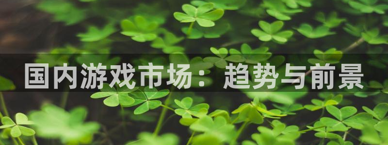 蓝图娱乐主管联3.7.9.9.7 主管