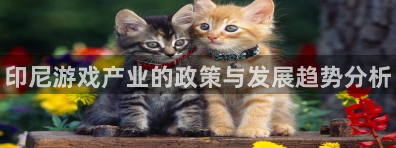 蓝图娱乐官网图片