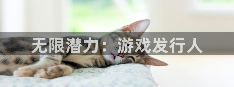 蓝图娱乐平台怎么样可靠吗：无限潜力：游戏发行人