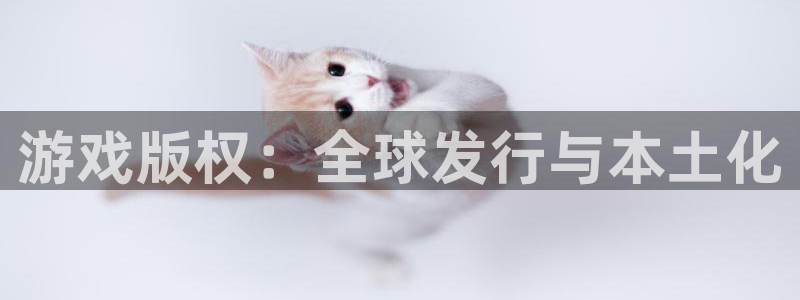 蓝图娱乐登录注册失败怎么办：游戏版权：全球发行与本土化