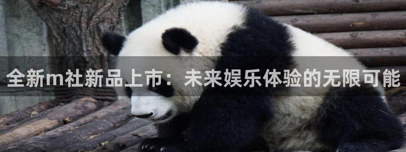 蓝图娱乐官网lvnces是什么档次